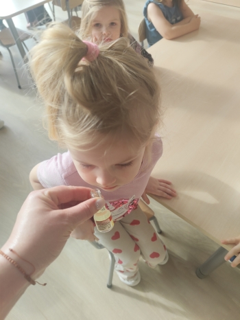 inbound7899246086834156183