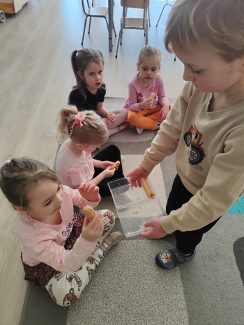 inbound4638517601966596878