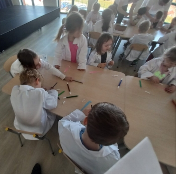 inbound3785288859552380603