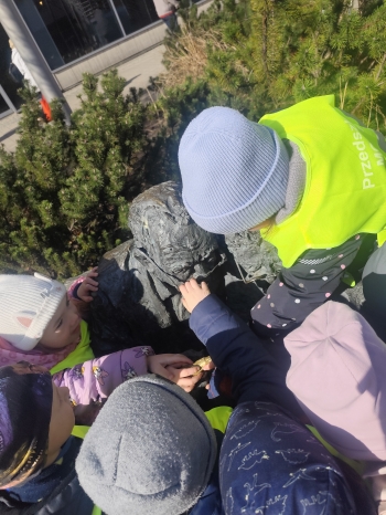 inbound2835348434196430267