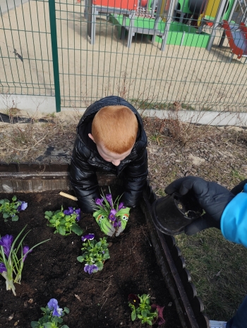 inbound2116614935588236763