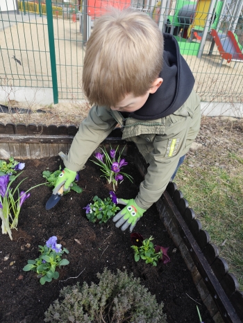 inbound2088392187310870533