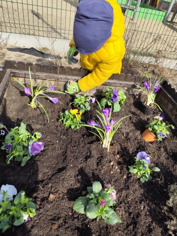 inbound1467853514344741043