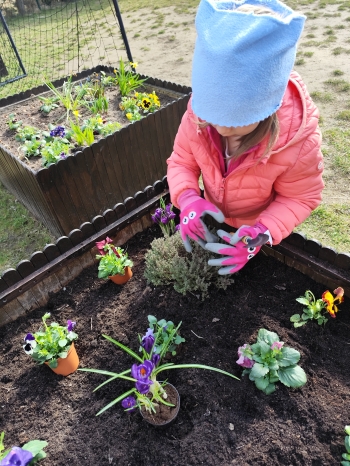 inbound5609391294627378219