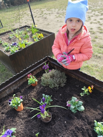 inbound1782311673216215862