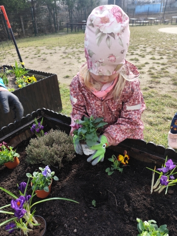 inbound4869986163778058033