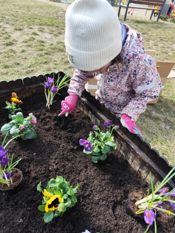 inbound3242429431636374673