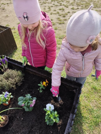 inbound1790549029733155449