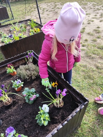 inbound4163561247816169015