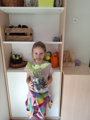 IMG-20260427-WA0062