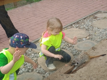 IMG-20260610-WA0116