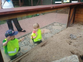 IMG-20260610-WA0124