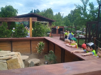 IMG-20260610-WA0154
