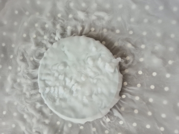 20250429_100103