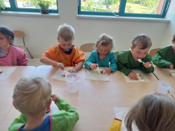 inbound135354155380272247