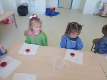 inbound4550816098608846043