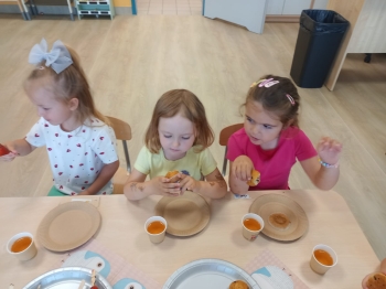 inbound2878115845273627407