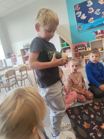 inbound2218024882956414587