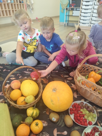 inbound8835192476977596618