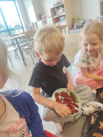 inbound6126852775026491603