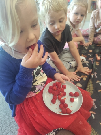 inbound1651086422843706683