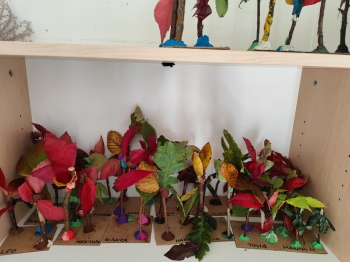 inbound7560117775708042424