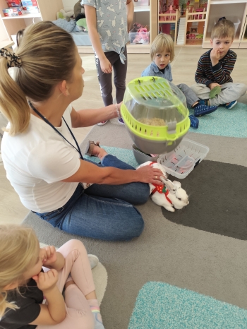 inbound2977728006818710958