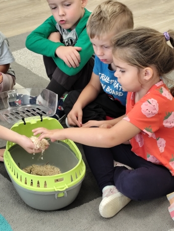 inbound6990686734974631458