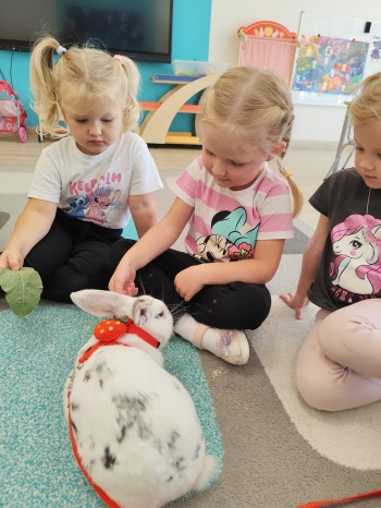 inbound2362700542871069605