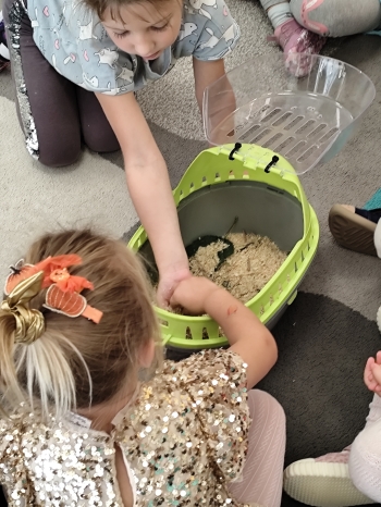 inbound6136285688038653008