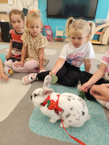 inbound8850674734858478590