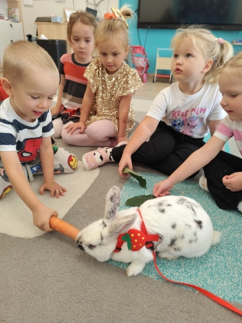 inbound6695661559061873930