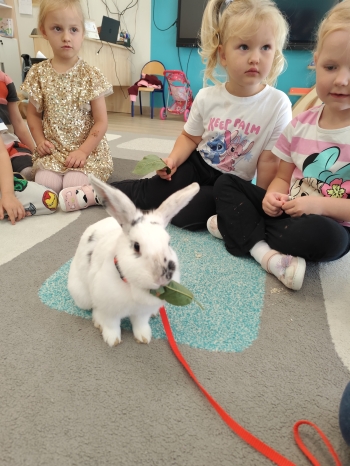 inbound1964794001678260379