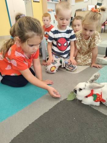 inbound3464713211180166504