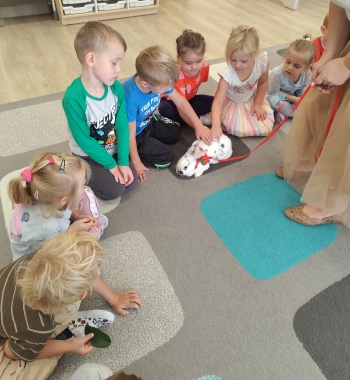 inbound518428227260461380