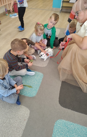 inbound1904437198143938967