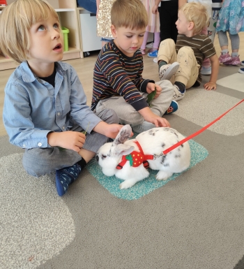 inbound6174875152370437663