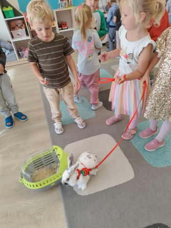 inbound3924615635526545542