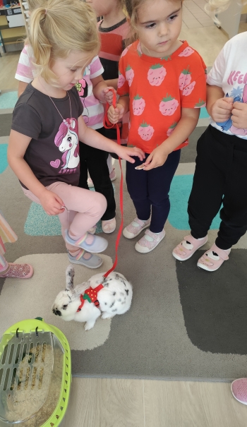 inbound175787797029022508