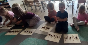 inbound5329094562353023157