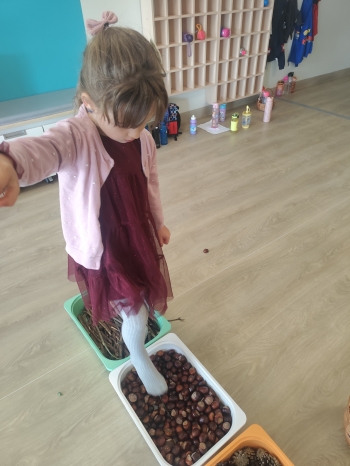 inbound8821183760896839541