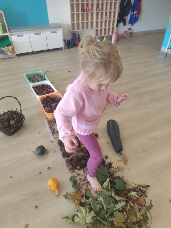 inbound4206266648232507113