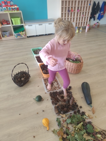 inbound7451457670484777130