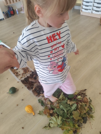 inbound4463038126153933295