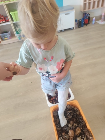 inbound2937559868363317549