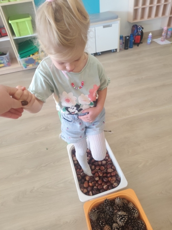 inbound5372862985140134344