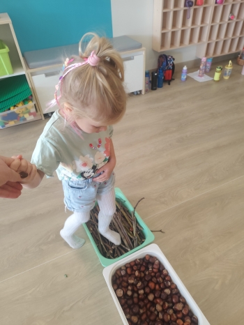 inbound2951447957906836295