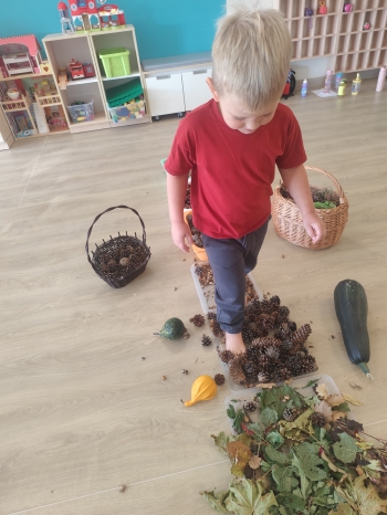 inbound7076257229326767661