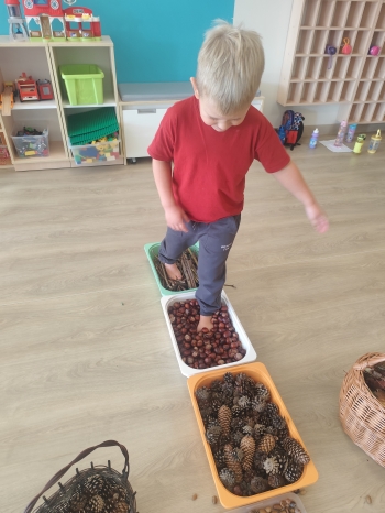 inbound8016107049649635404