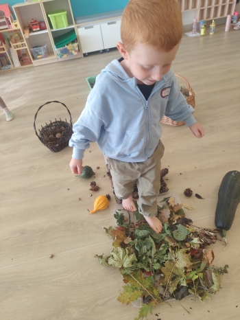 inbound1683289000842442913